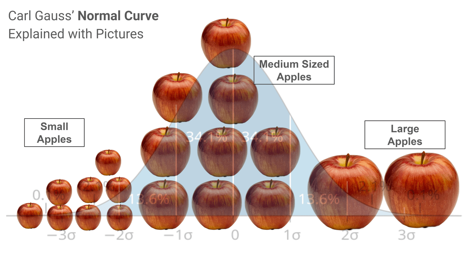 Different-sized apples showing nature's normal curve